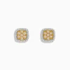 Earrings|BH Multi Canare 14K Two Tone Gold Cushion Shaped Cluster Yellow Diamond Earrings