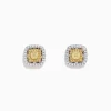 Earrings|BH Multi Canare 18K Two Tone Gold Double Halo Yellow Diamond Stud Earrings, 0.76 TCW